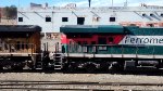 FXE 4617